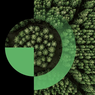 Circular republic header homepage keyvisual black getty1213747572