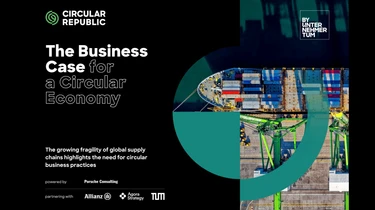 Business Case for a CE Whitepaper Preview
