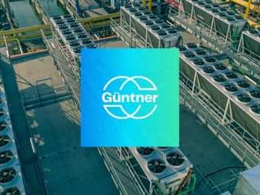 Gutner Brand Visual