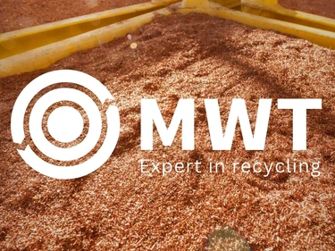 MWT Brand Visual