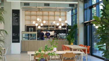 Stammtisch Website Visual