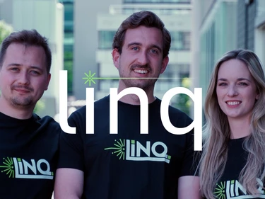 Linq Teamlogo