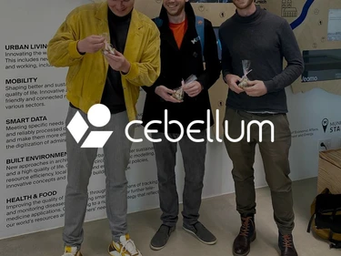 Cebellum