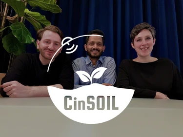 Cinsoil