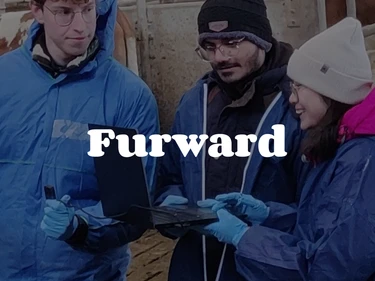 Furward