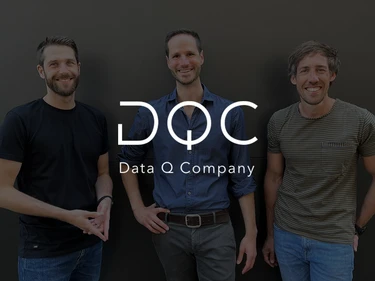 Data q company