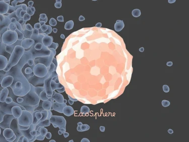 Exosphere