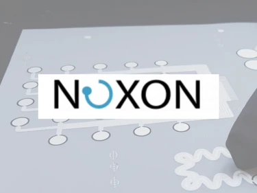 Noxon