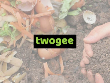 Twogee
