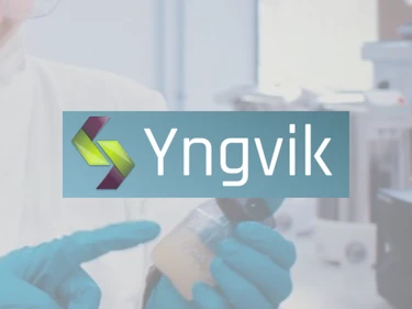Yngvik